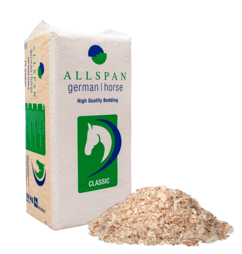 Allspan German Horse Classic